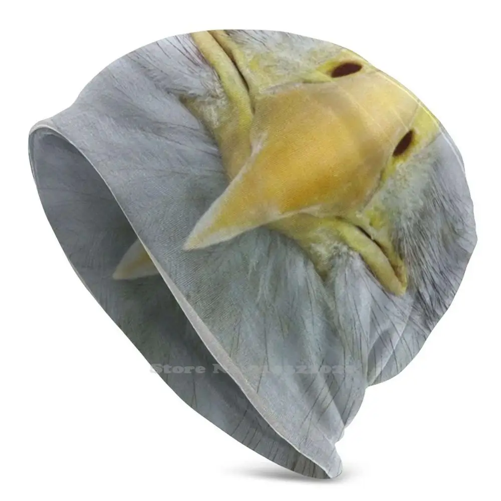 

Шапка-бини с принтом «Орлиное лицо», зимняя шапка с углублением, с животными, лысой