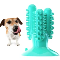 cactus shape dog squeaky toy natural rubber dog chew toys for pet dog teeth clean dog toothbrush doggy pet oral care accessories