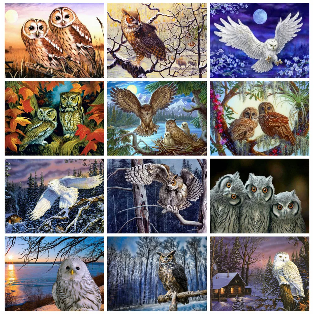 

Huacan 5d Diamond Painting New Arrivals Owl Home Decor Mosaic Animal Cross Stitch Embroidery Diamond Art