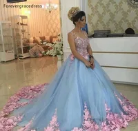 2019 Baby Blue Quinceanera Dress Princess Appliques Flowers Sweet 16 Ages Long Girls Prom Party Pageant Gown Plus Size