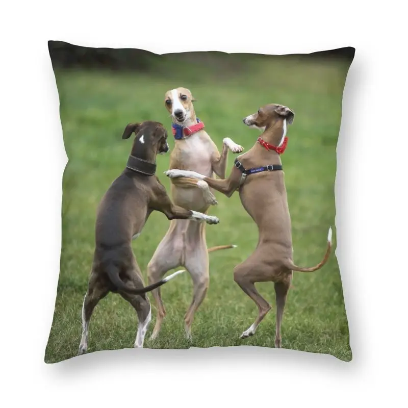 

Cute Whippet Dogs Dancing Cushion Cover 40x40 Home Decorative Greyhound Sighthound Dog Throw Pillow Case for Sofa Double Side