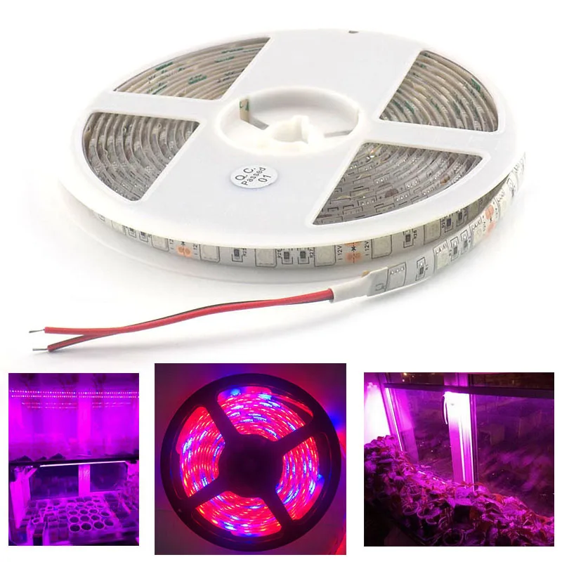 

1M 5M DC 12V LED Plant Grow strip Light Phyto Growing 5050 chip Strips lamp 300LED Fitolampy for Hydro indoor Greenhouse growbox