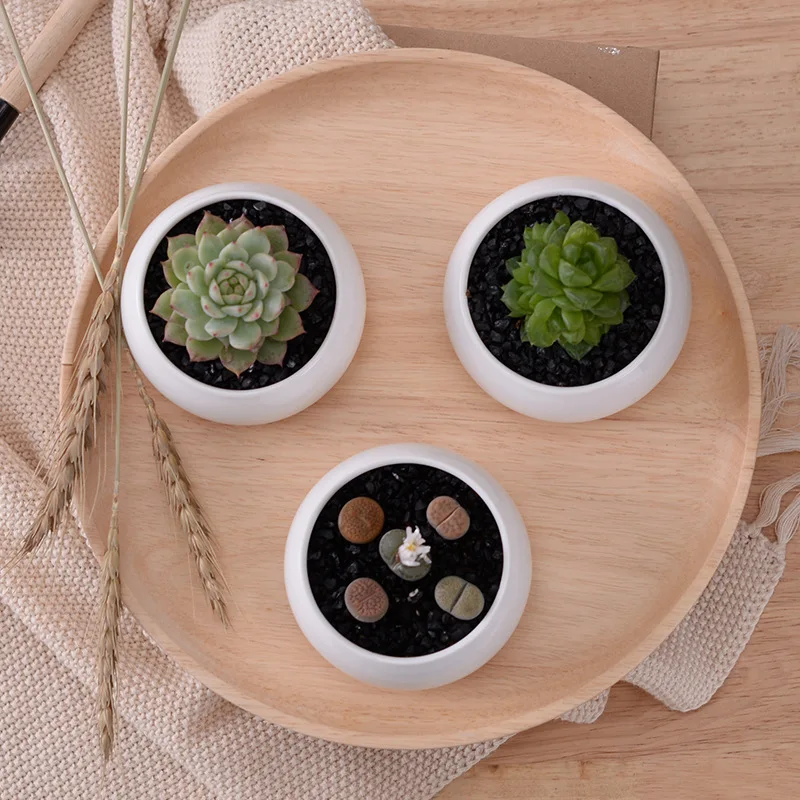 1 Set Modern Minimalist White Ceramic Flowerpot Succulent Plant Pot 3 Bonsai Planters with 3-Tier Bamboo Shelf Home Garden Decor | Дом и сад