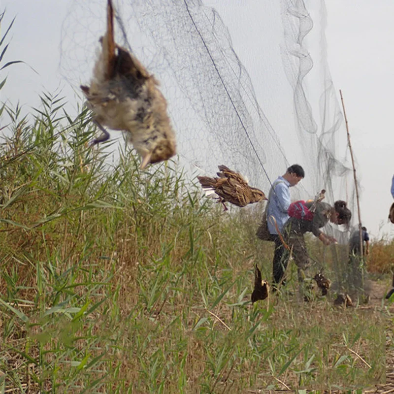 Anti Bird Catcher Netting Pond Net Fishing Net Traps Crops Fruit Tree Vegetables Flower Garden Mesh Protect Pest Control