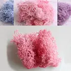 Вечное растение мох стена DIY Искусственные цветы сухая трава сохраненный искусственный цветок Садовые принадлежности украшение для дома