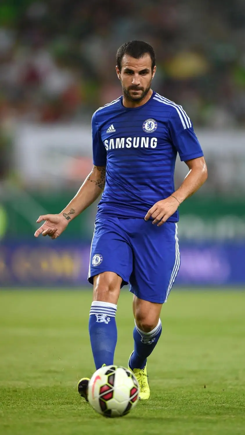 Летняя женская юбка винтажная плиссированная с принтом Фламинго приталенная