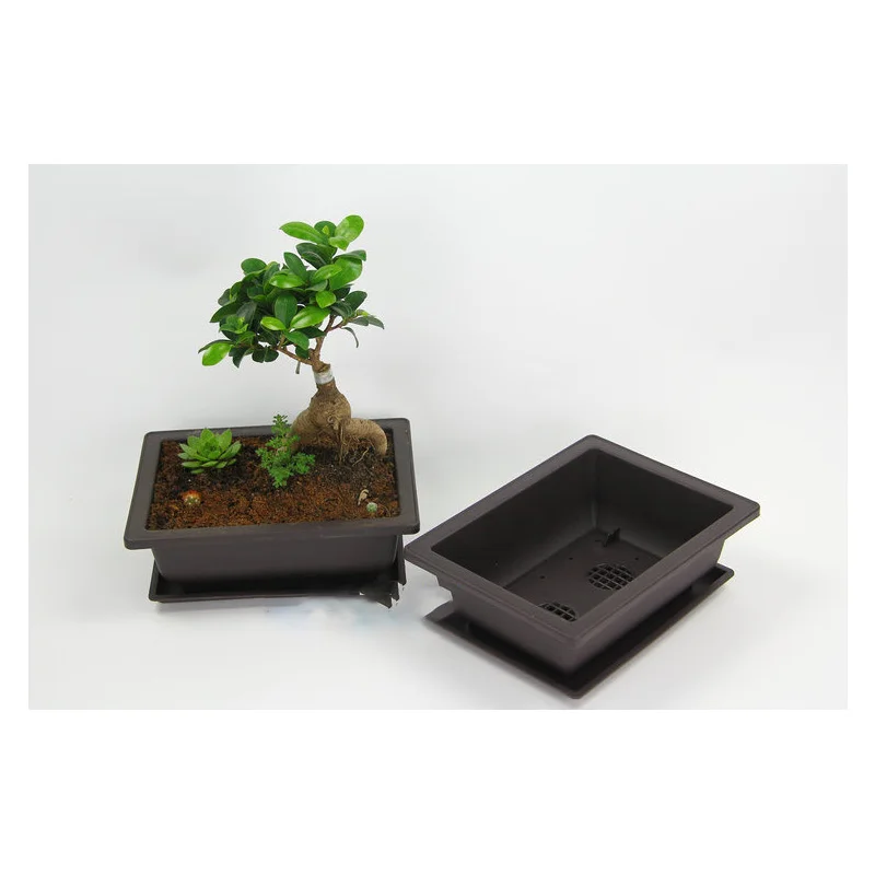 1 шт. пластиковый цветочный горшок для суккулентных растений бонсай питомник