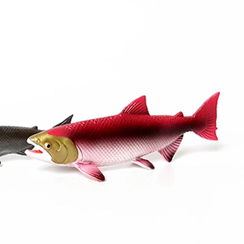 Реалистичный жизненный цикл лосося 5 отдельных кусочков роста Модель Статуэтка