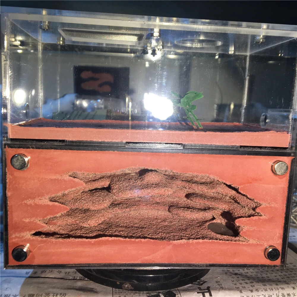 Пастостическая муравьиная ферма Муравьиное гнездо из акрила и бетона 160*140*70 мм с