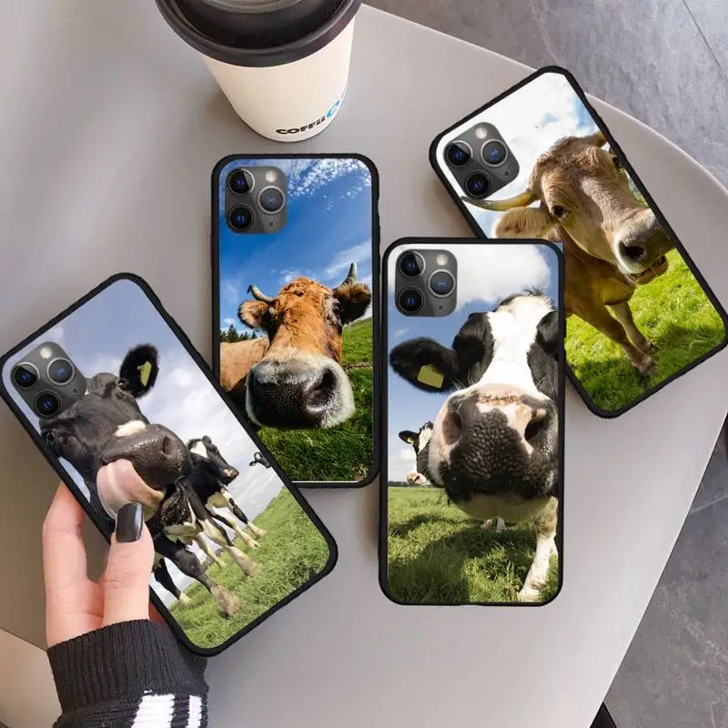 

Cute milk cow animal Phone Case for iPhone 11 12 mini pro XS MAX 8 7 6 6S Plus X 5S SE 2020 XR