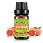 Эфирные масла для грейпфрута KINUO 10 мл, увлажнитель, ароматерапия, лампа, свечи для духов, мыло для приготовления ванили, тимьяна, шалфей