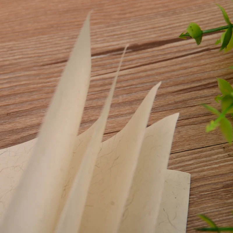 Рисовая бумага для каллиграфии кисти письма половинно созревшая китайская