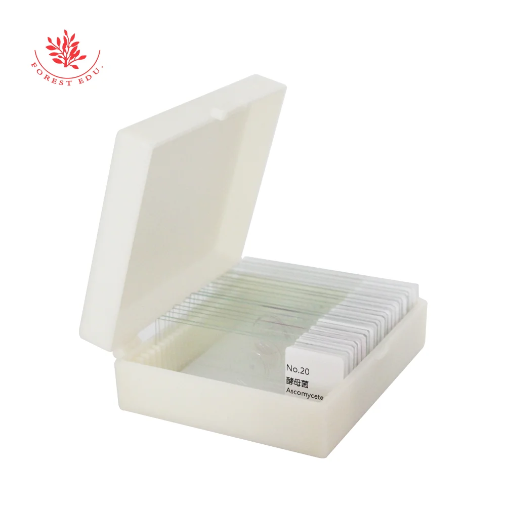 Микроскоп слайды бактерий/смешанные подготовленные 20 шт./компл. | Канцтовары для