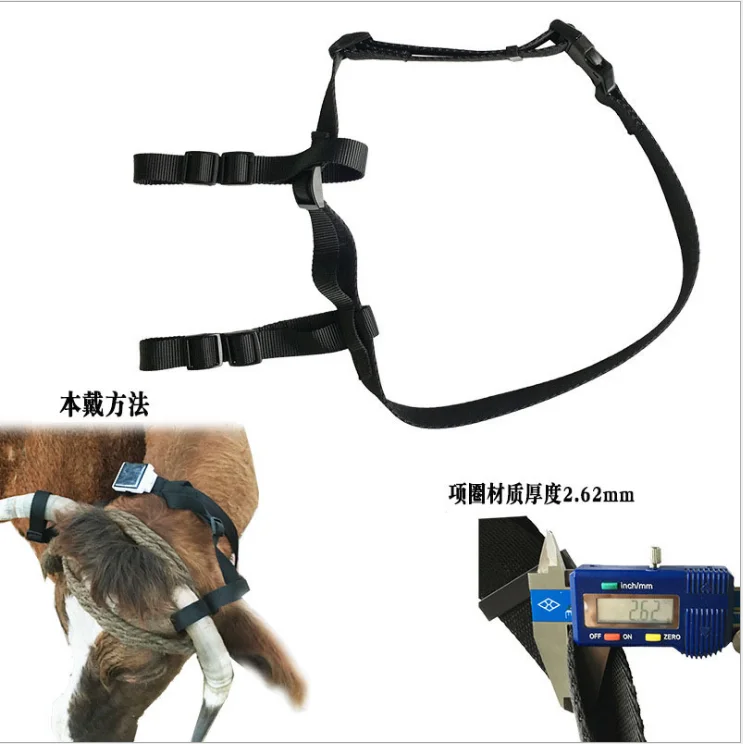 Solar GPS Tracker Collar Holder Large Animals Neck Collar Belt for Big Dogs Sheep Horse Cow Camel for GPS Tracker V26 V34 V44