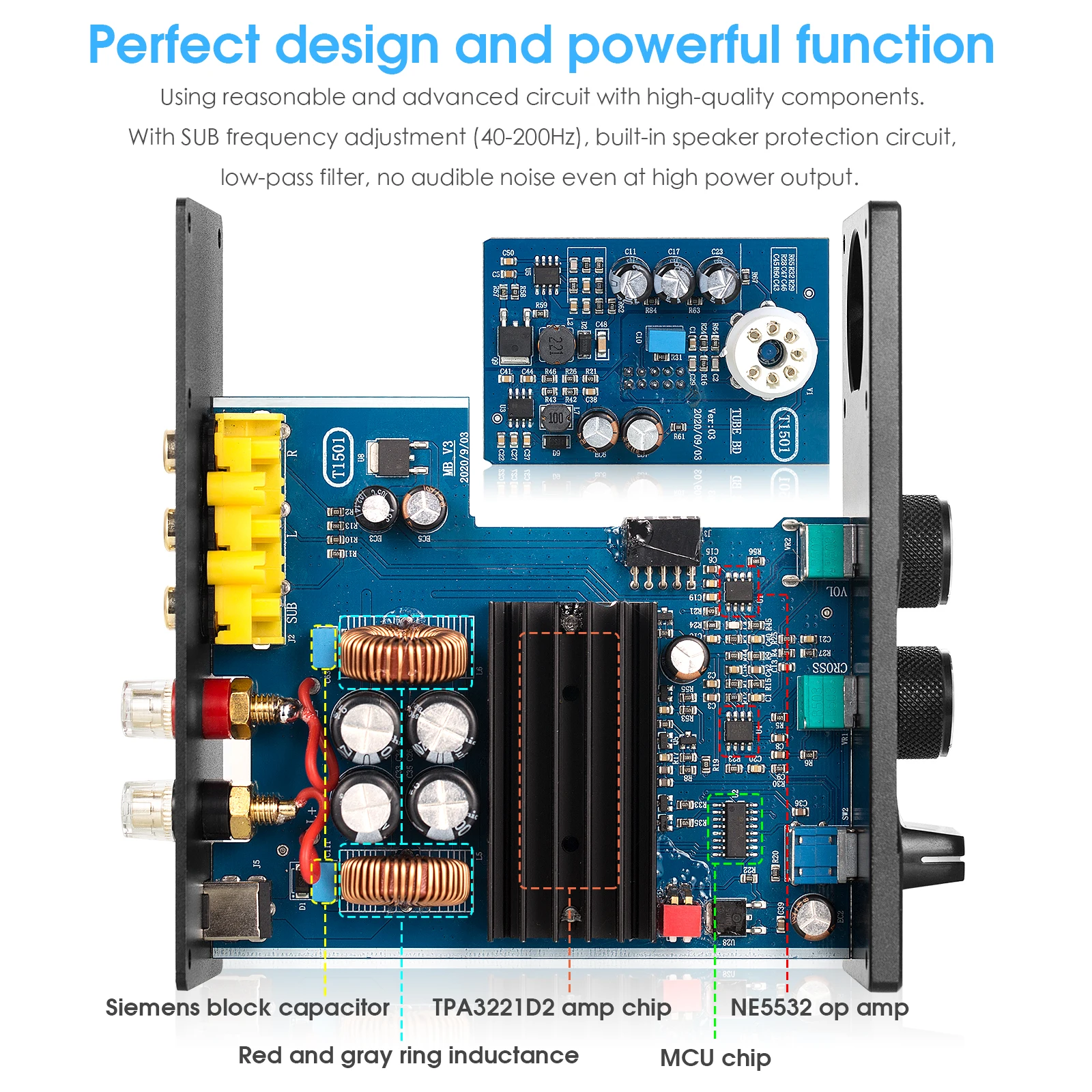 Douk Audio G10 Mini 100W/200W Mono Channel Vacuum Tube Audio Amplifier Full-frequency/Subwoofer Amp