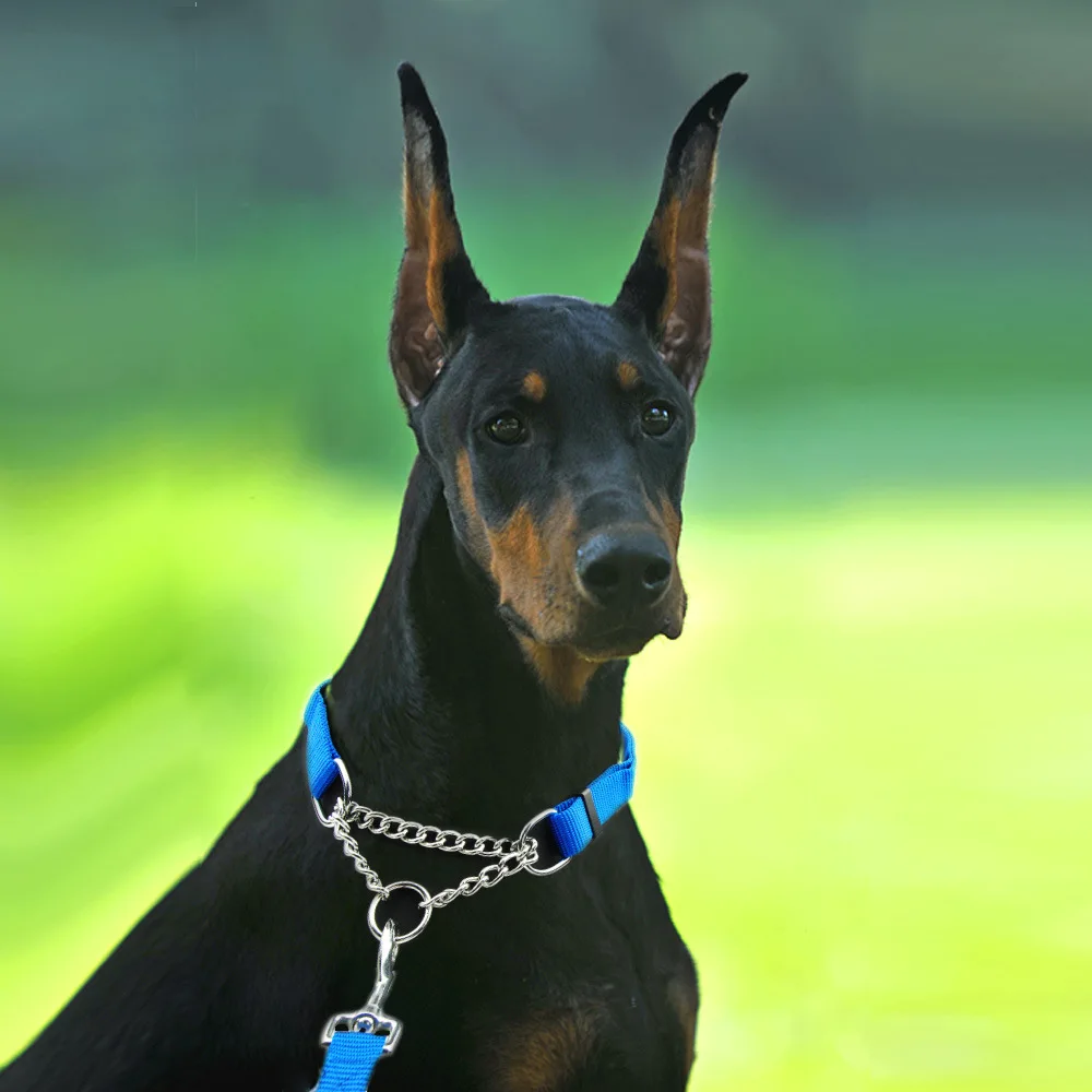 

Dog Collar Chain Pet Nylon Slip Pinch Collar Dog P Chain Training Accessories Adjustable Collar for Large Dog Running Rope