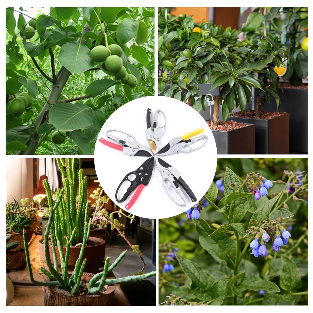Садовые ножницы для обрезки растений | Инструменты