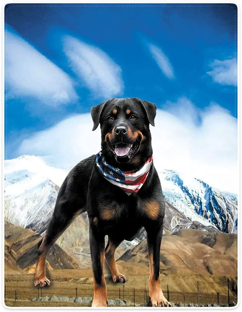 

Blankets Plush Sofa Bed Throw Labrador Animal Pattern Living Room Bedroom Sofa Couch Warm Soft Bed Blanket