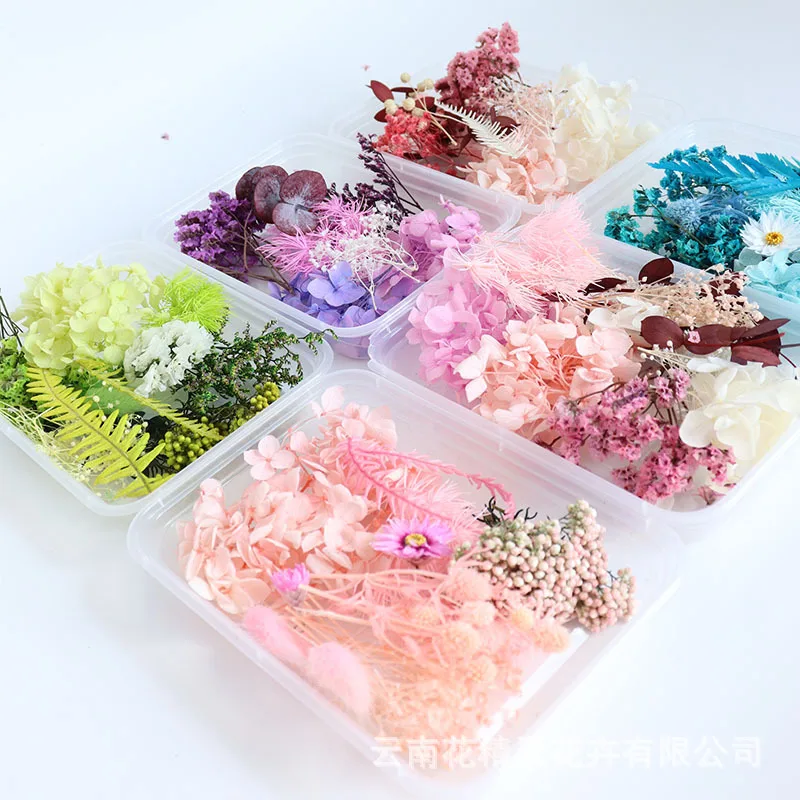 Неувядающий цветок «сделай сам», материал в упаковке, Гортензия, кроличья трава, сушеные цветы, искусственные цветы