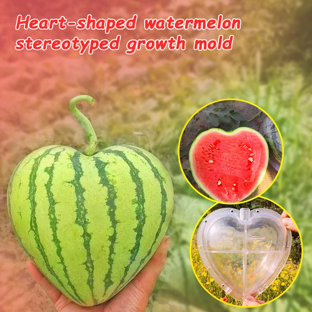 

Fruit Growth Molds Plastic Heart Shaped Watermelon Mold Vegetable Growth Forming Mould Transparent Forming Shaping