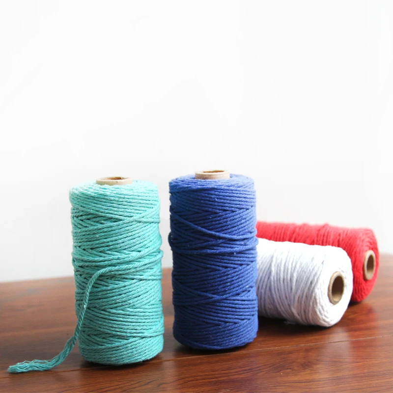 3 мм домашний Тканый гобелен перья макраме ручной работы одножильный цветной