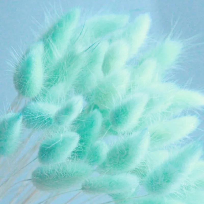 60 шт. трава с кроличьим хвостом Натуральные сушеные цветы для украшения дома