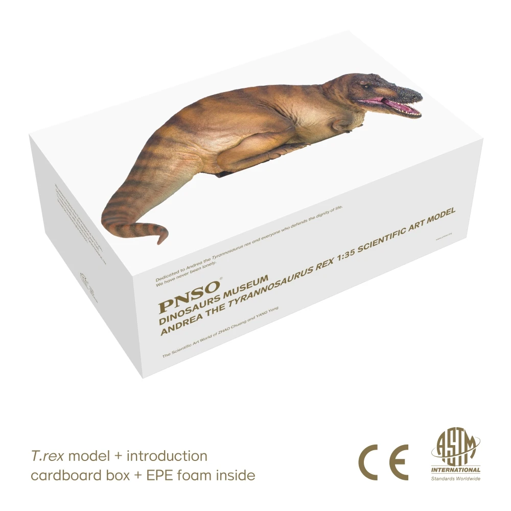 PNSO-dinosaurio Museo de la serie: Andrea el tiranosaurio REX 1:35, modelo de arte cient&iacute;fico-4