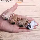 1 шт. Французский бульдог сонный корги игрушки Фигурки собак пейзаж Декор Животные Куклы Детские подарки ПВХ Модель игрушки