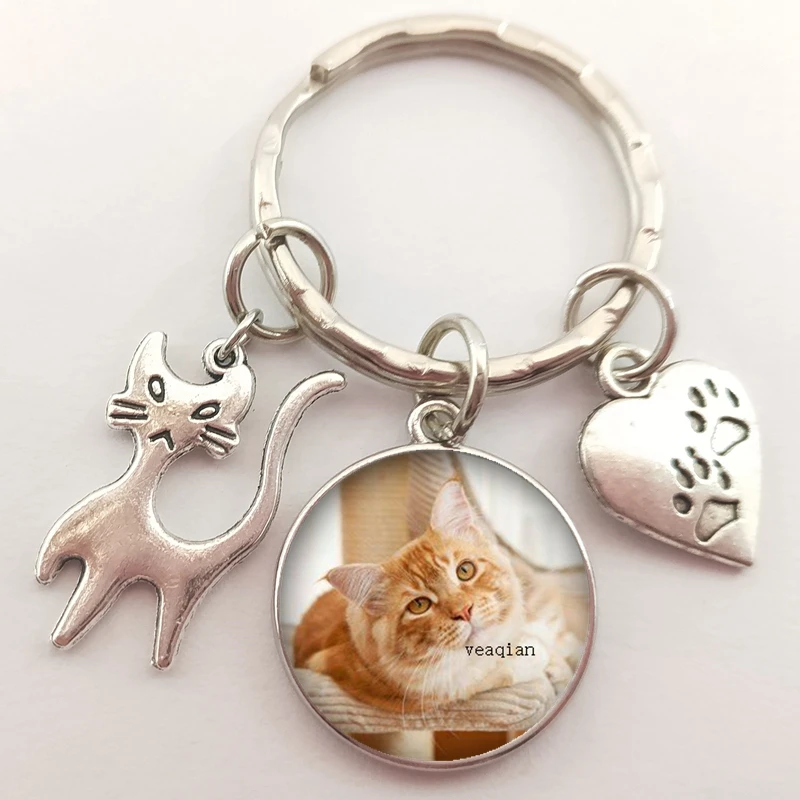 Брелок для ключей в виде животных автомобильный брелок со стеклянным куполом