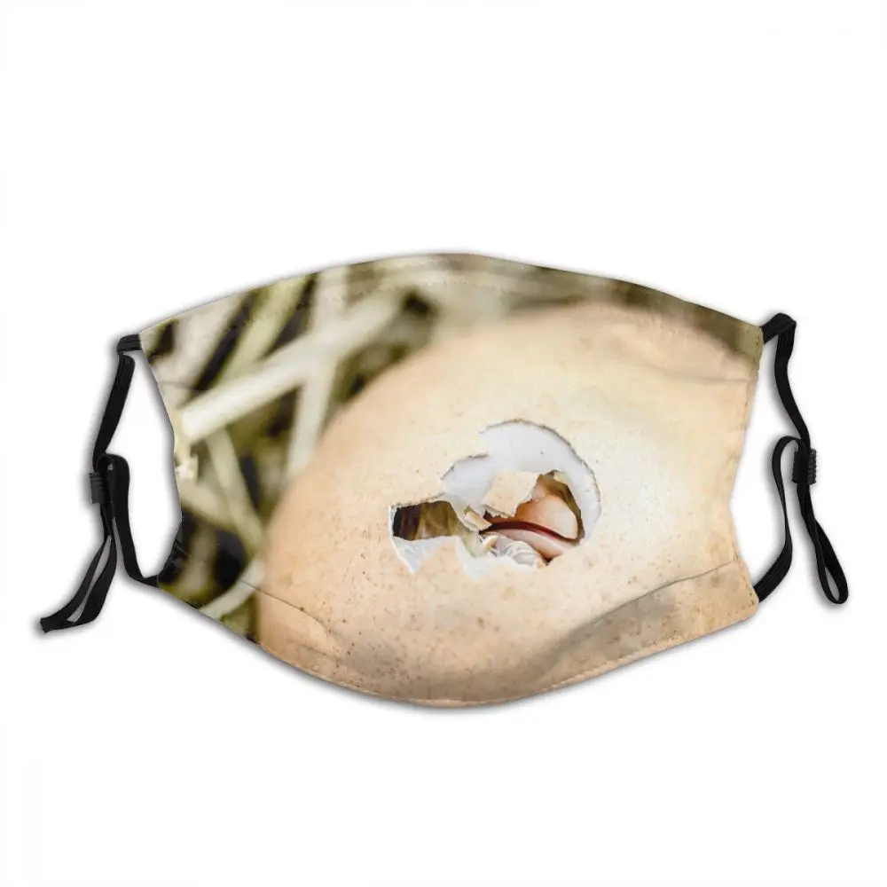 

Яйцо инкубационное аппликацией в виде цыпленка животного не одноразовая маска для лица с фильтрами против дымки пыле зимняя защитная крышк...