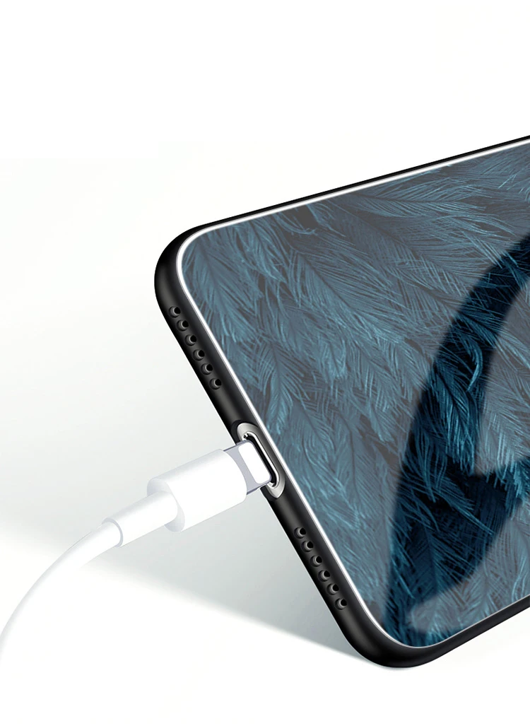 Auroras для iPhone 11 Pro Чехол из закаленного стекла с принтом перьев для Apple iPhone 11 11 Pro Max чехол s