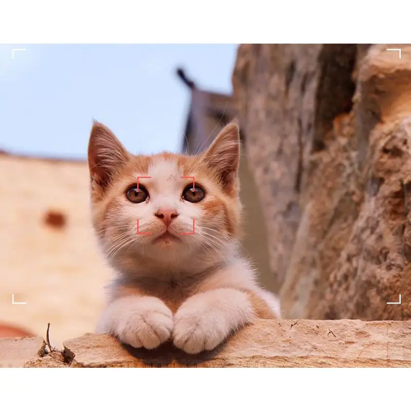 Автомобильный видеорегистратор ночного видения Инфракрасный Спортивная