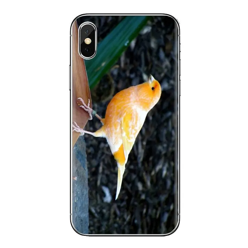Soft Transparent Bag Case For iPod Touch Apple iPhone 4 4S 5 5S SE 5C 6 6S 7 8 X XR XS Plus MAX Mosaic yellow Types Canary Birds |
