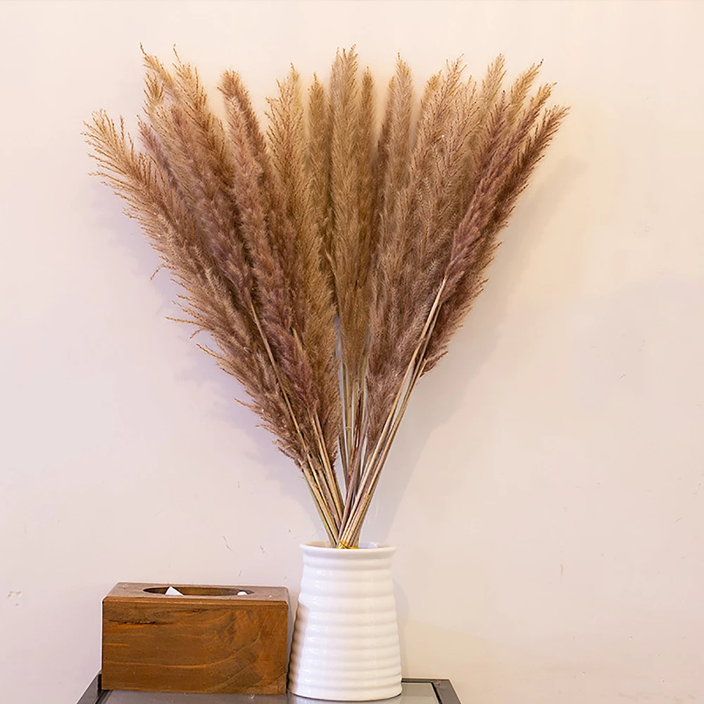 

Dried Reed Flowers Bouquet Natural Home Wedding Decoration Pampas Grass 20Pcs Immortal Flowers Natural Window Decoration Reed