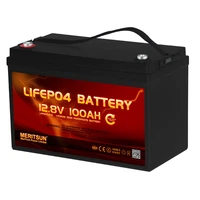 bms lipo battery 12v 100ah lithium ion pack free meritsun lifepo4 polymer