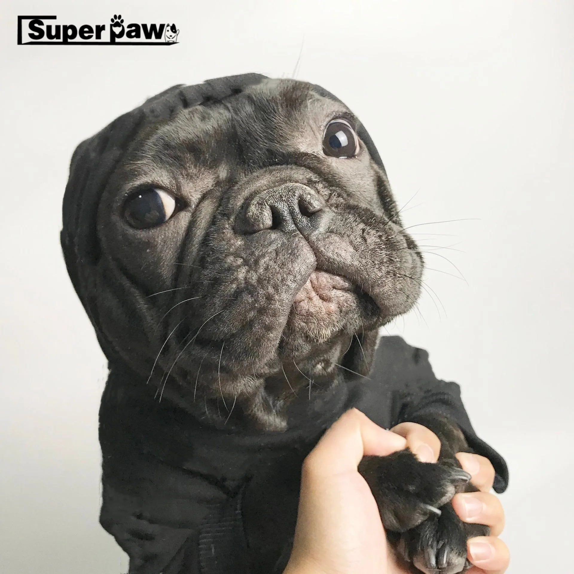 Новинка мягкая хлопковая толстовка с капюшоном для собаки бульдог шнауцер