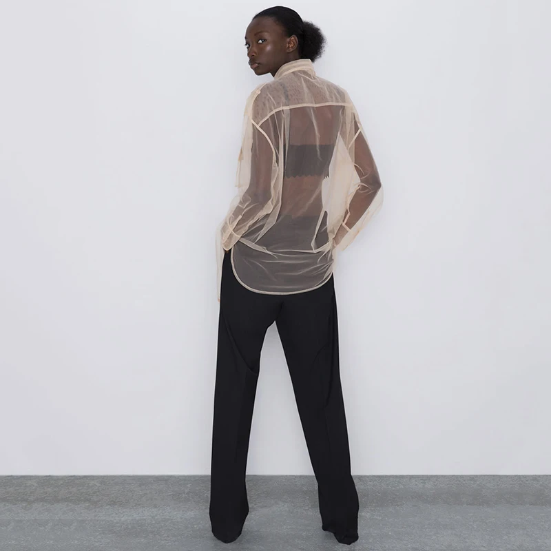 Новинка весна-осень 2020 женская модная прозрачная длинная рубашка ZA с длинными