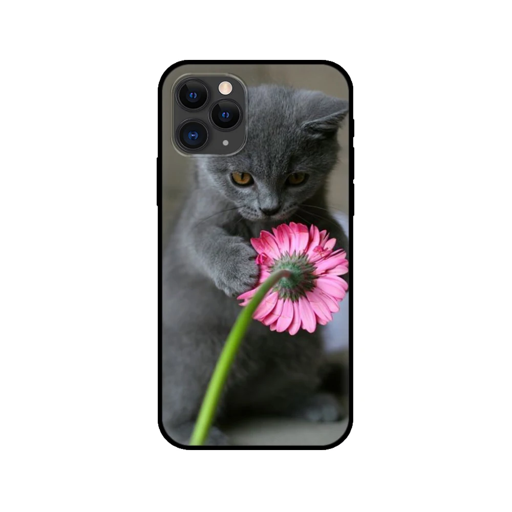 Черный чехол из ТПУ для iphone 5 5s se 6 6s 7 8 plus x 10 XR XS 11 pro MAX с изображением британского