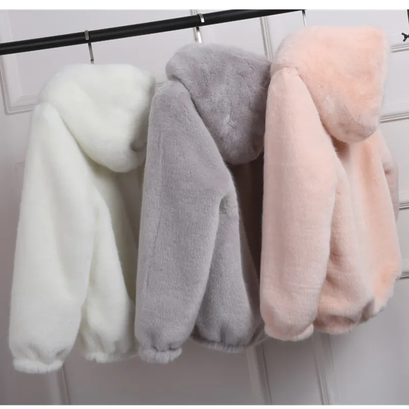 Женское пальто из искусственного меха коллекция 2019 года зимняя Корейская куртка