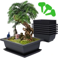 3pcs large imitation bonsai training pot with plant labels plants growing pot for garden yard office living room balcony