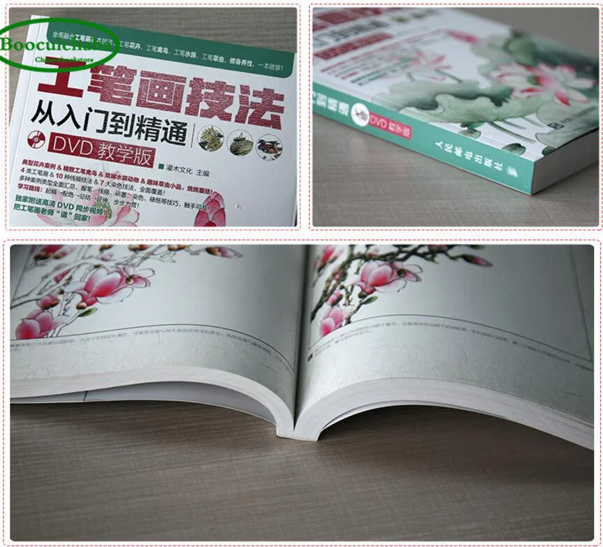 Gongbi painting skills book Chinese Sketch technique from entry to proficient with DVD |