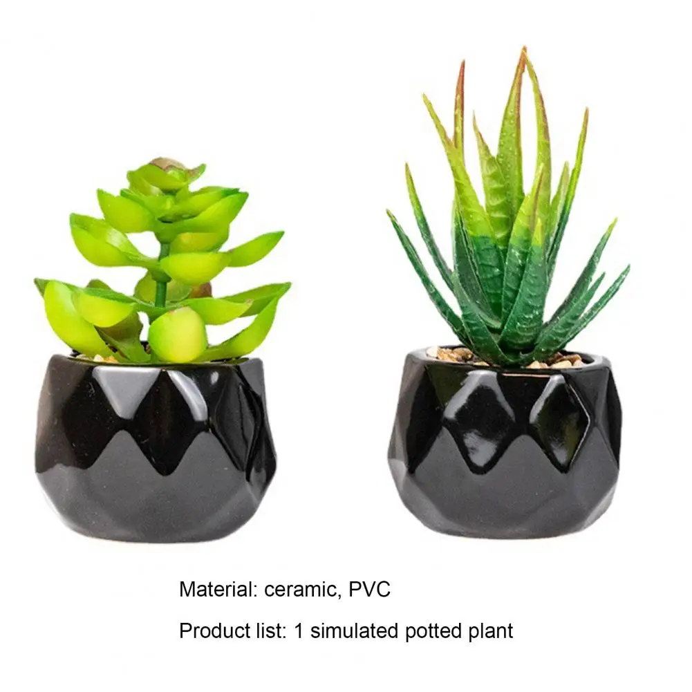 Black Ceramic Potted Mini Artificial Green Succulents Plant Bonsai Set Fake Flower With Vase Home Balcony Decor Desktop Ornament images - 6