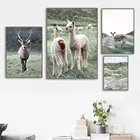 Овечья альпака, холст, постер, животные, настенный художественный принт, олень, живопись, пейзаж, плакаты, скандинавские настенные картины, гостиная, домашний декор
