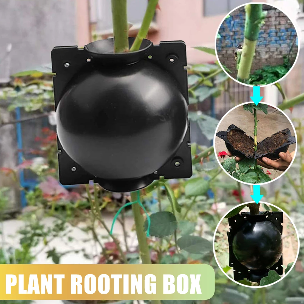 5 шт. чехол для травления корней растений|Детские лотки и крышки| |