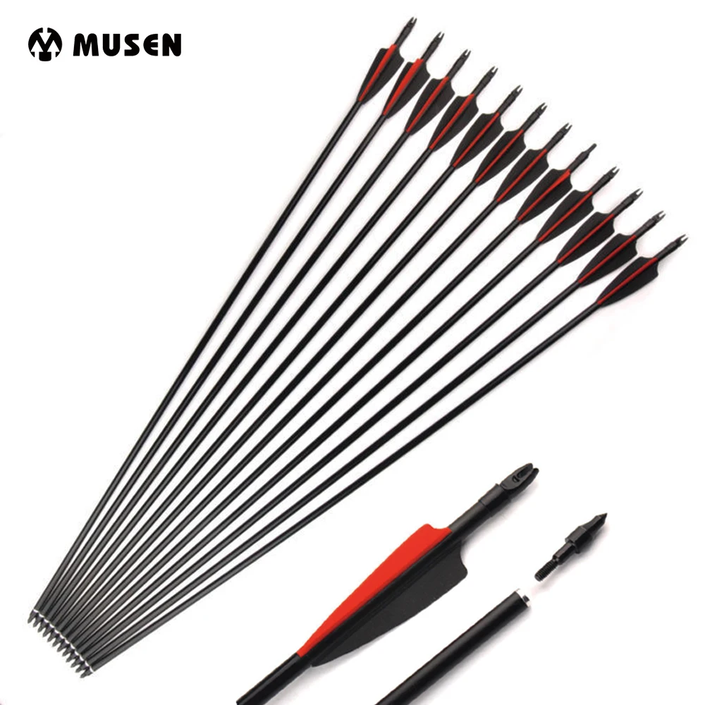 

DE 6/12/24 Pcs 30 inches Fiberglass Arrows For Compund Bow Recurse Bow Spine 500 Diameter 8 mm Hunting Shooting Archery
