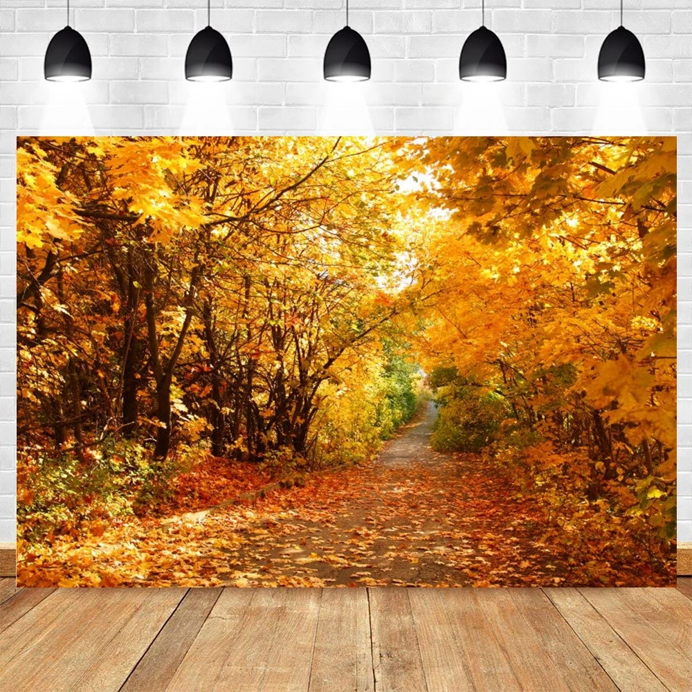 

Autumn Forest Backdrop Fallen Leaves Scenery Landscape Photography Background Photographic Photo Shoot Booth Decoration Banner