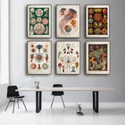 Морская Медуза, морские водоросли, винтажные кораллы, морские водоросли, картина, картина, печать, образование, класс, комната, домашний декор