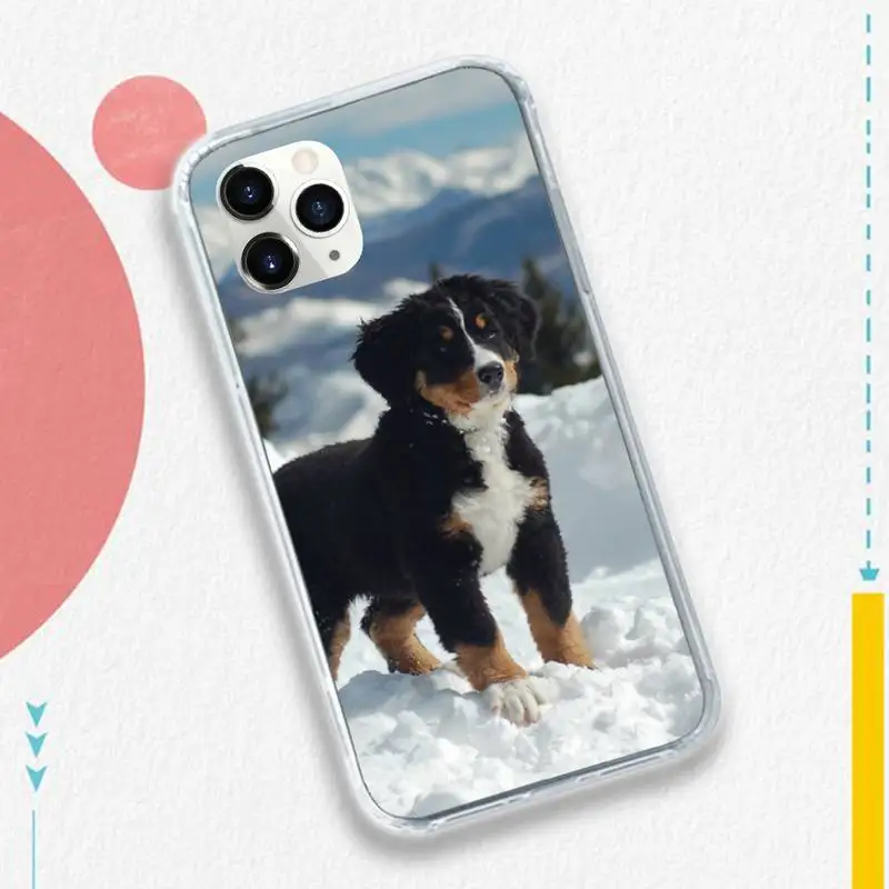 

Bernese Mountain Dog cover Phone Case for iPhone 11 12 pro XS MAX 8 7 6 6S Plus X 5S SE 2020 XR