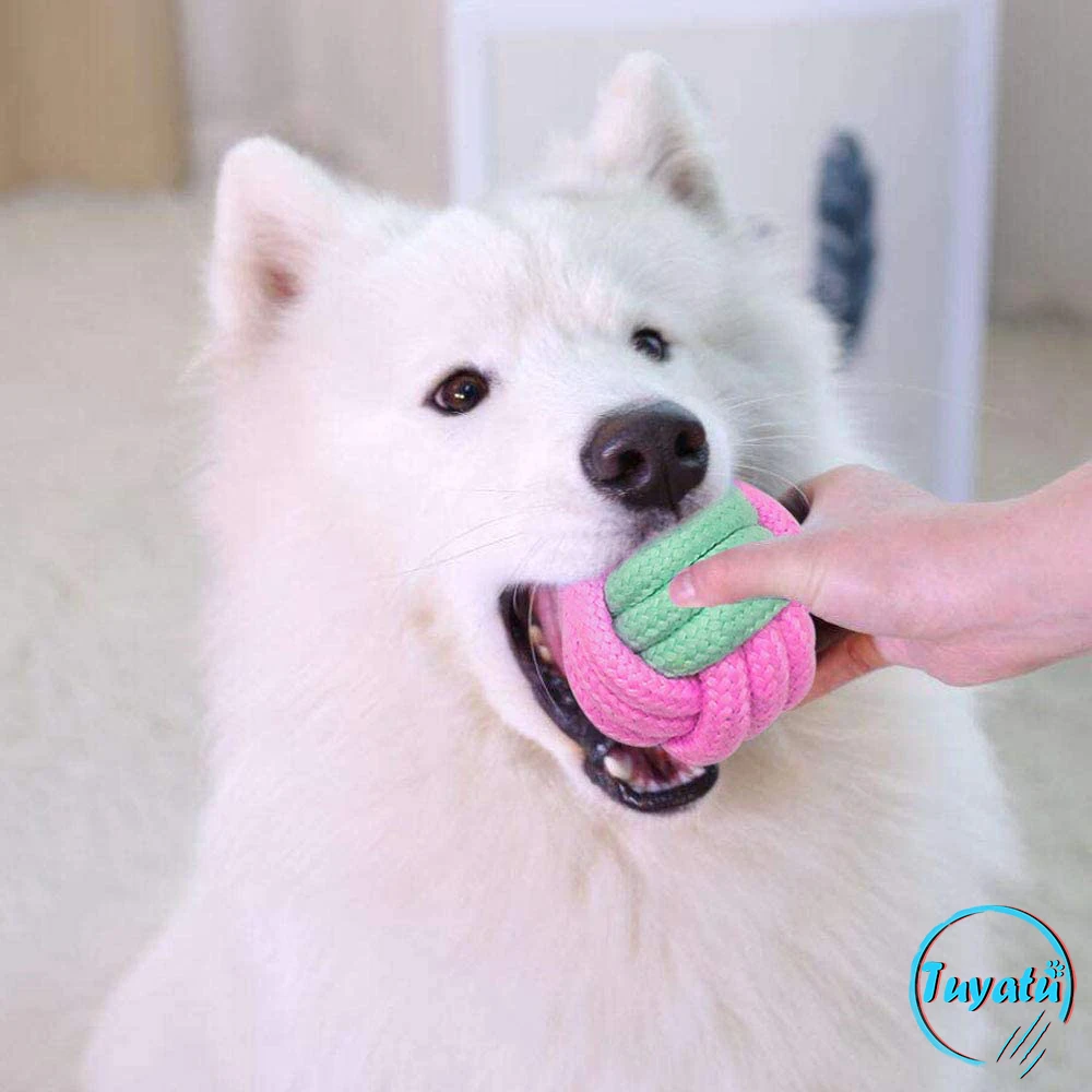 6 упаковок жевательная игрушка для собак|Игрушки собак| |