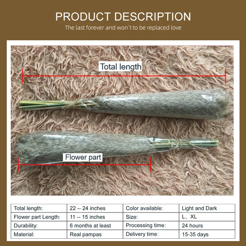 

Multicolor Dried Pampas Grass Bouquet Wedding Decor Dried Flowers Christmas Decor Artificial Flowers Fall Decor Altificial Grass